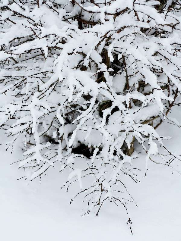 ����*3 ����� ����� ������� �� PhotoGeek.ru #������ ��� ������� #����� �������������� #���������