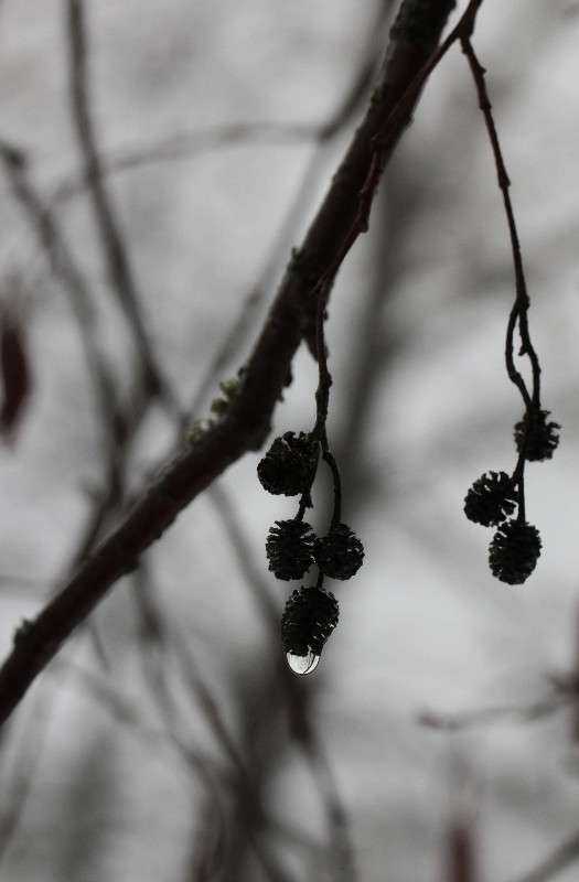 �������� *3 ����� ����� ������� �� PhotoGeek.ru #������ ��� ������� #����� �������������� #���������