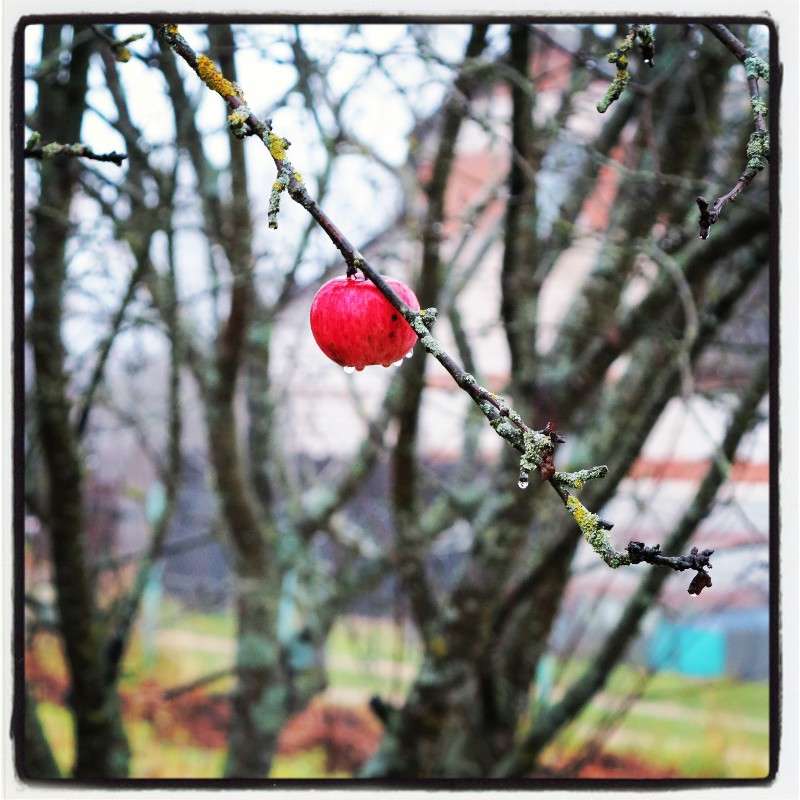 ���������... ����� ����� ������� �� PhotoGeek.ru #������ ��� ������� #����� �������������� #����� ��������