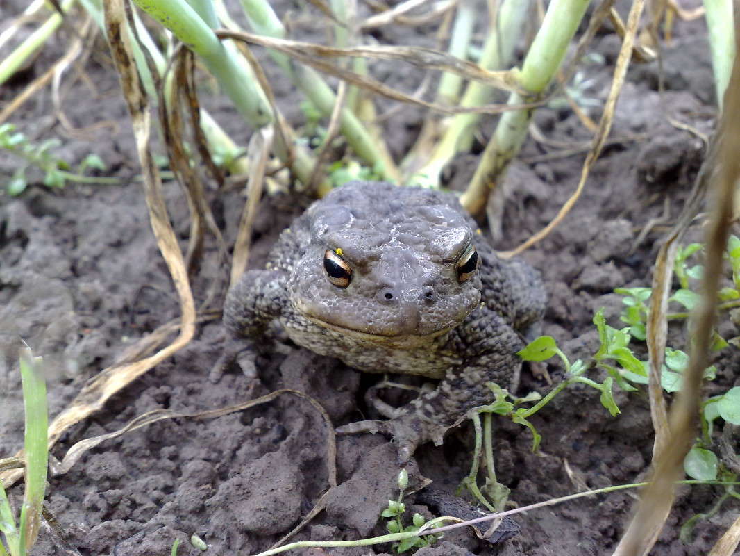 ����� ����������� ����� ����� ������� �� PhotoGeek.ru #�������� ��� #����