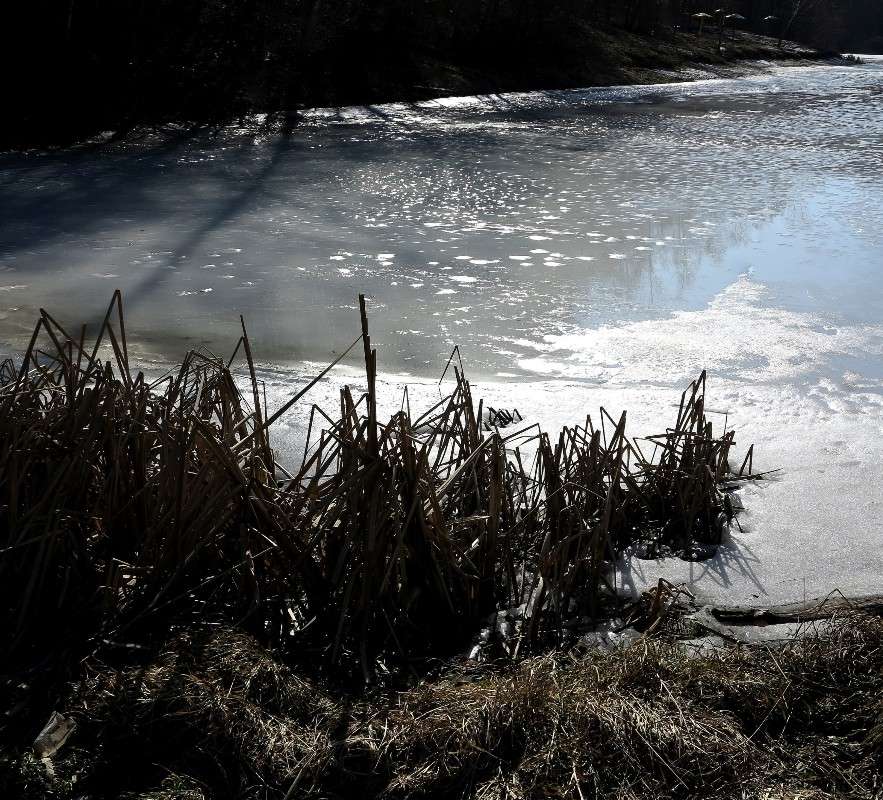 ����� � ������ ����� ����� ������� �� PhotoGeek.ru #������ ��� ������� #����� �������������� #���������