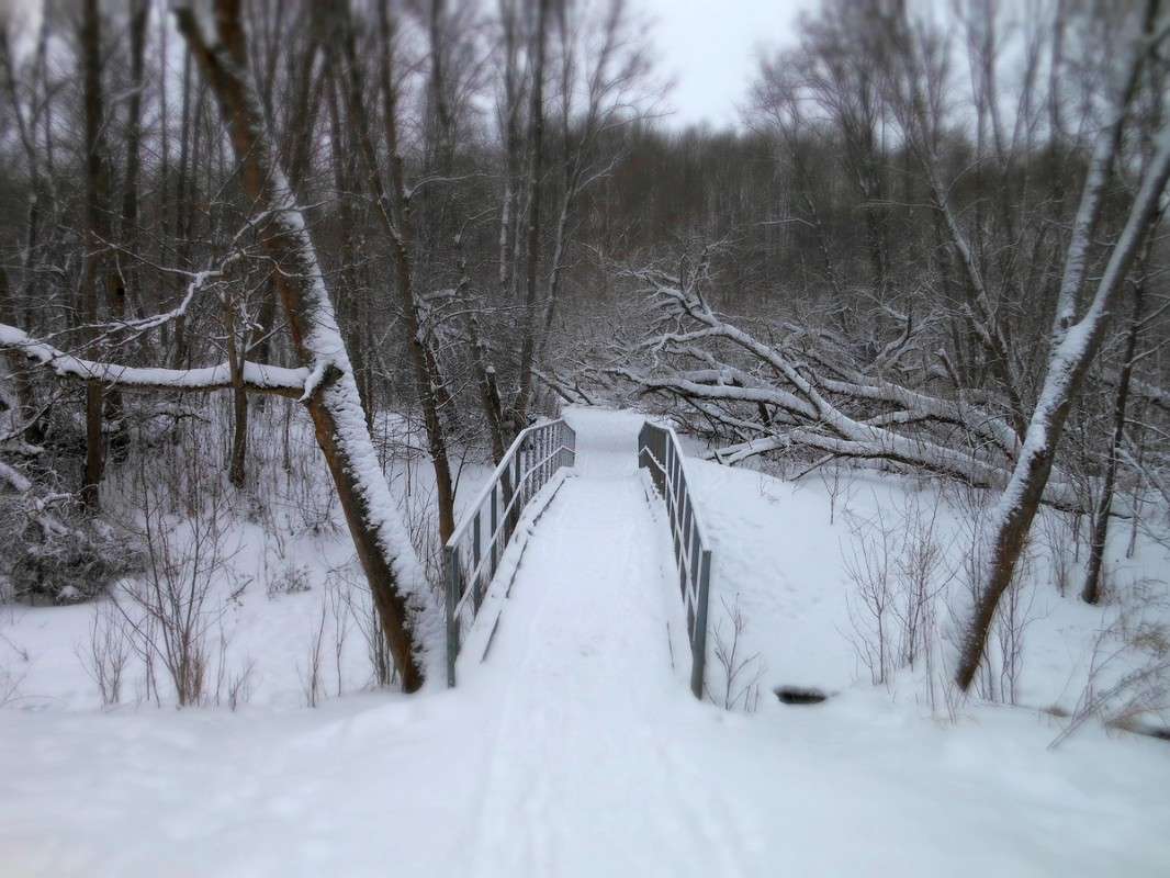 ������ ����� ����� ������� �� PhotoGeek.ru #������ ��� ������� #������