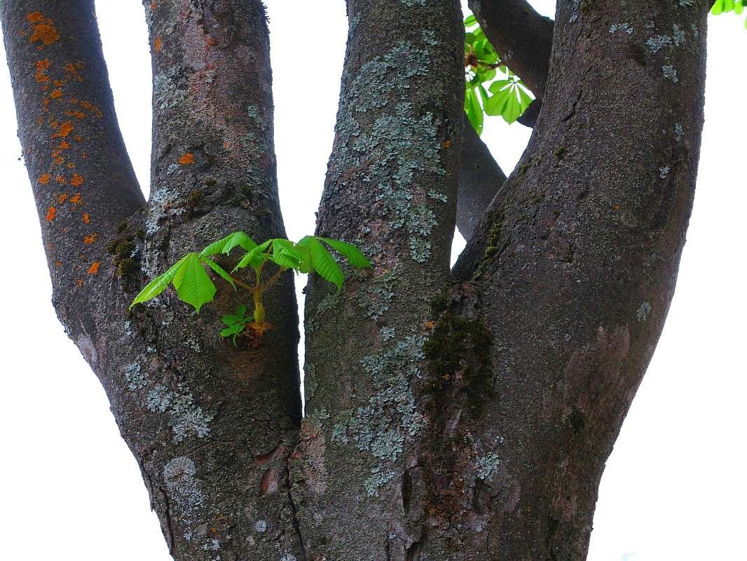 ���������� ����� ����� ������� �� PhotoGeek.ru #������ ��� ������� #����� �������������� #���������