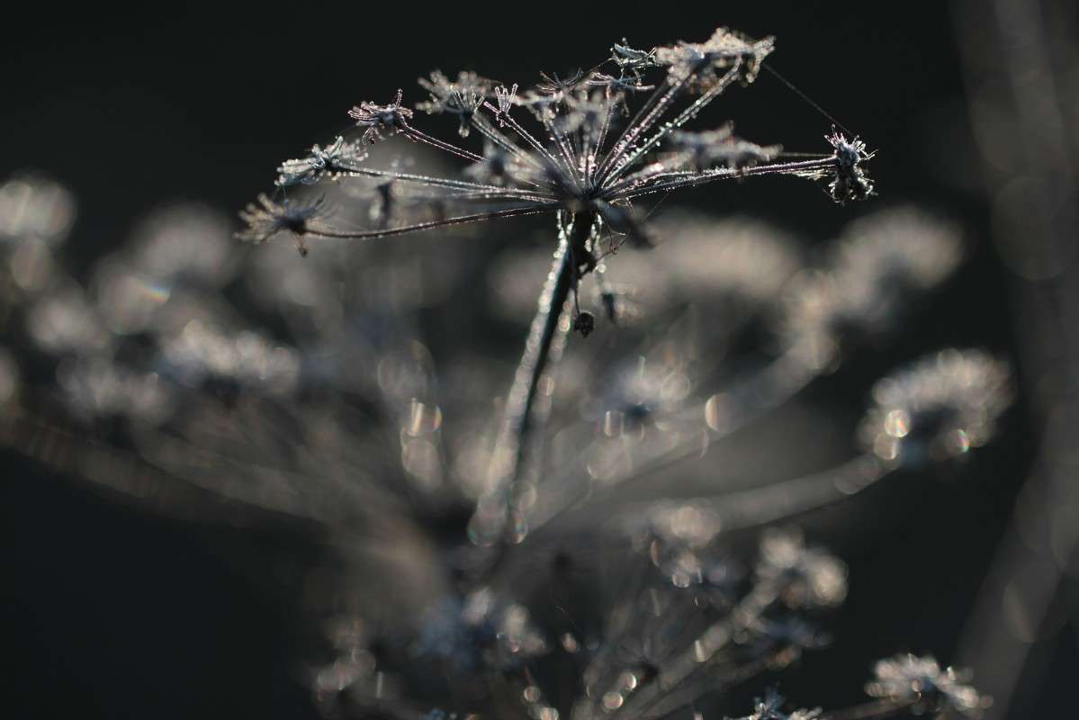 �������� �������� ����� ����� ������� �� PhotoGeek.ru #������ ��� ������� #��������� #������