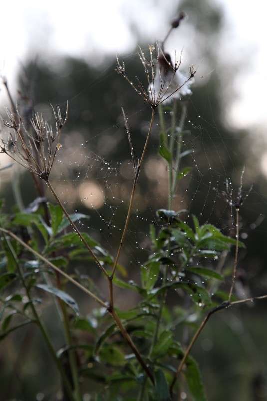 ������������ ����� ����� ����� ������� �� PhotoGeek.ru #������ ��� ������� #����� �������������� #����� ��������