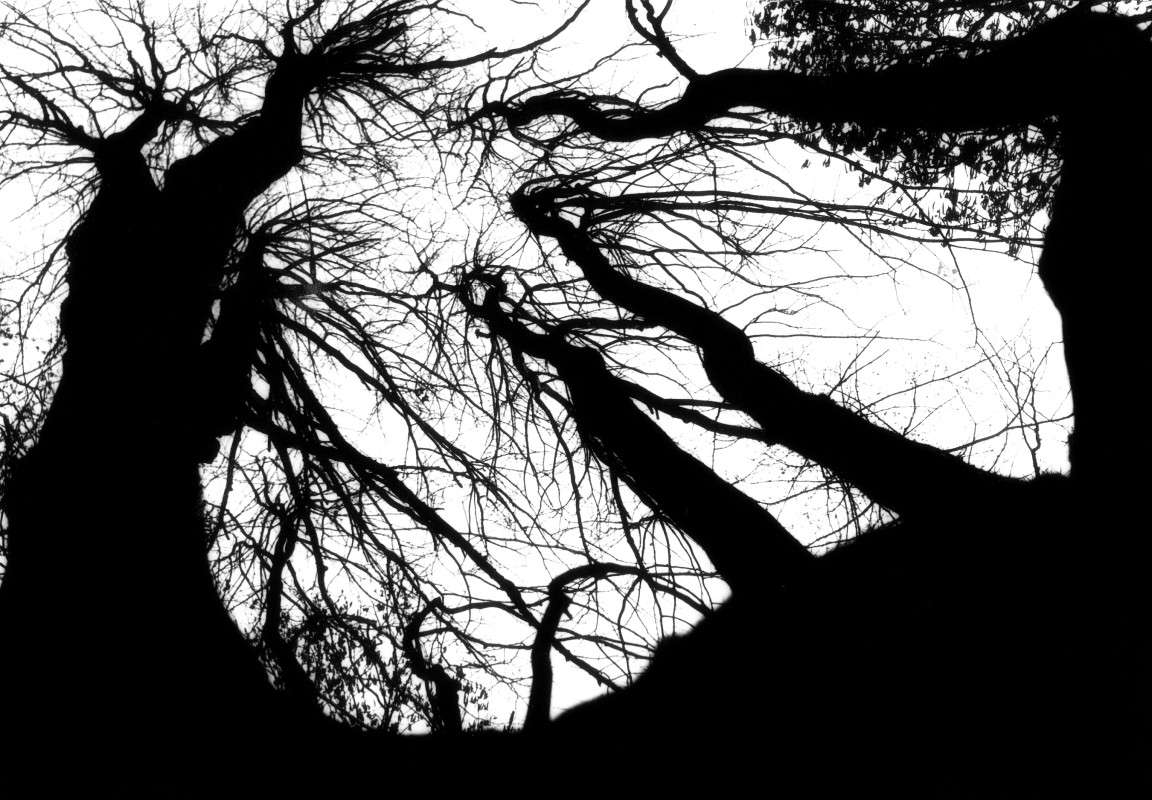 ���������� ����� ����� ������� �� PhotoGeek.ru #������ ��� ������� #���������� #����� ��������������