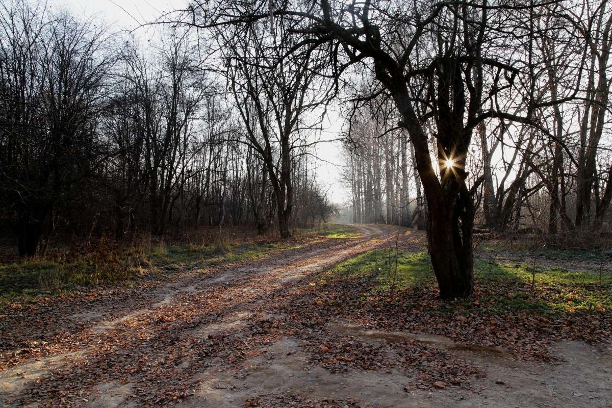 ���� ������ ����� ����� ������� �� PhotoGeek.ru #������ ��� ������� #����� ��������������