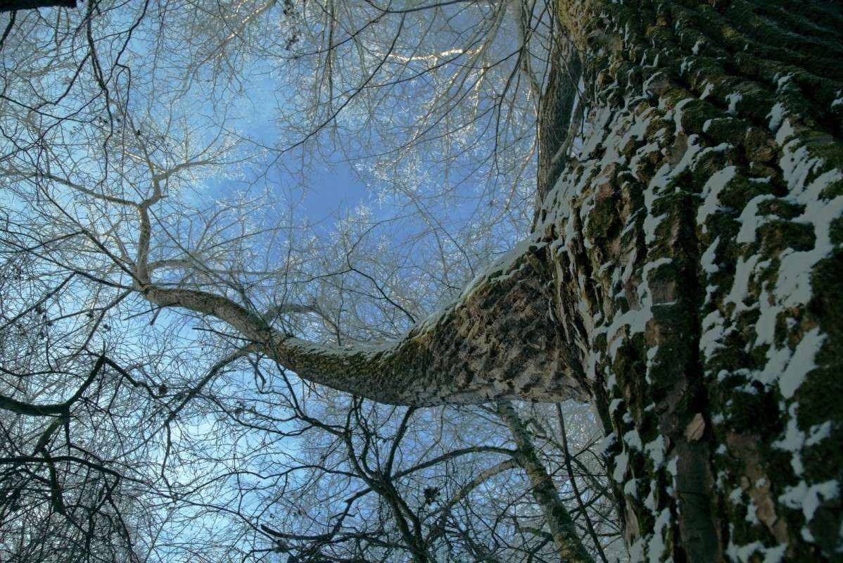 ������ ���� ����� ����� ������� �� PhotoGeek.ru #������ ��� ������� #����� �������������� #���� #����