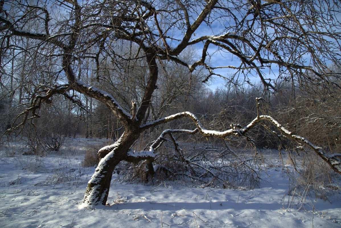 ������ ��������� ����� ����� ������� �� PhotoGeek.ru #������ ��� ������� #����� �������������� #��������� #���� #������ ���