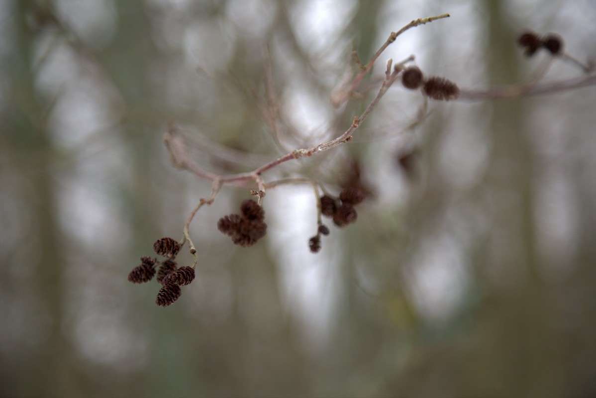 ����� ����� ����� ������� �� PhotoGeek.ru #������ ��� ������� #����� �������������� #��������� #����