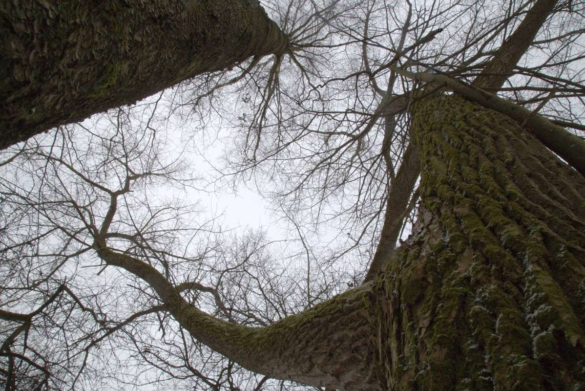 ������ ������� ����� ����� ������� �� PhotoGeek.ru #������ ��� ������� #����� �������������� #���������