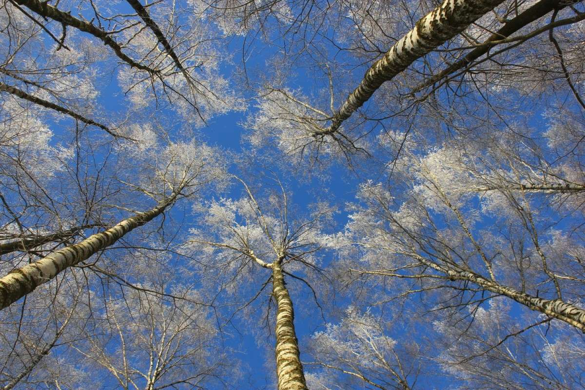 ���� � ���� ����� ����� ������� �� PhotoGeek.ru #������ ��� ������� #����� �������������� #��������� #����