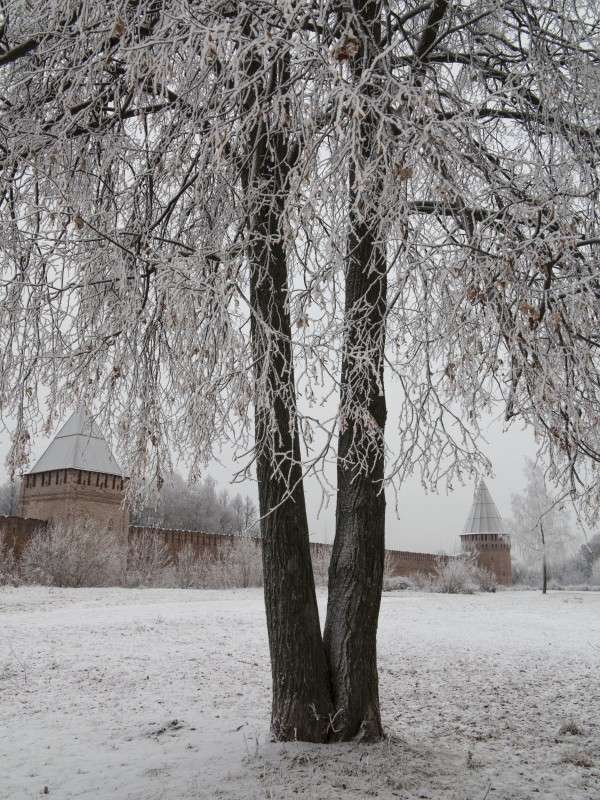 ������ ��������� ����� ����� ������� �� PhotoGeek.ru #������ ��� ������� #����������� #����� �������������� #��������� #����� ��������