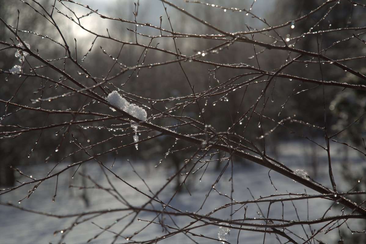 ������ �������� ����� ����� ������� �� PhotoGeek.ru #������ ��� ������� #����� �������������� #���������