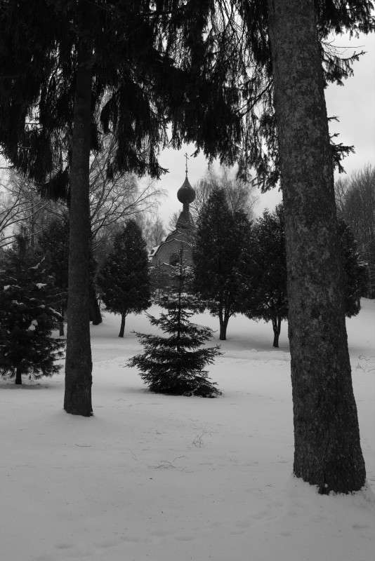 "������, ��� �� ����..." ����� ����� ������� �� PhotoGeek.ru #������ ��� ������� #����������� #����� �������������� #���������