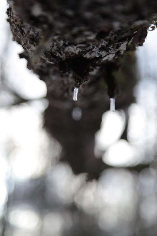 ��������� ����� ����� ������� �� PhotoGeek.ru #������ ��� ������� #����� �������������� #���������