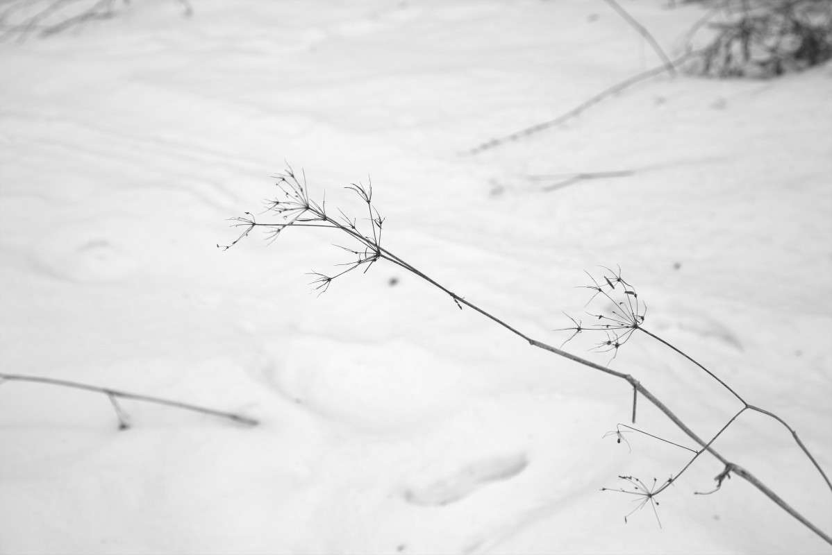 ����� �������� ������� ����� ����� ������� �� PhotoGeek.ru #������ ��� ������� #��������� #�����-�����