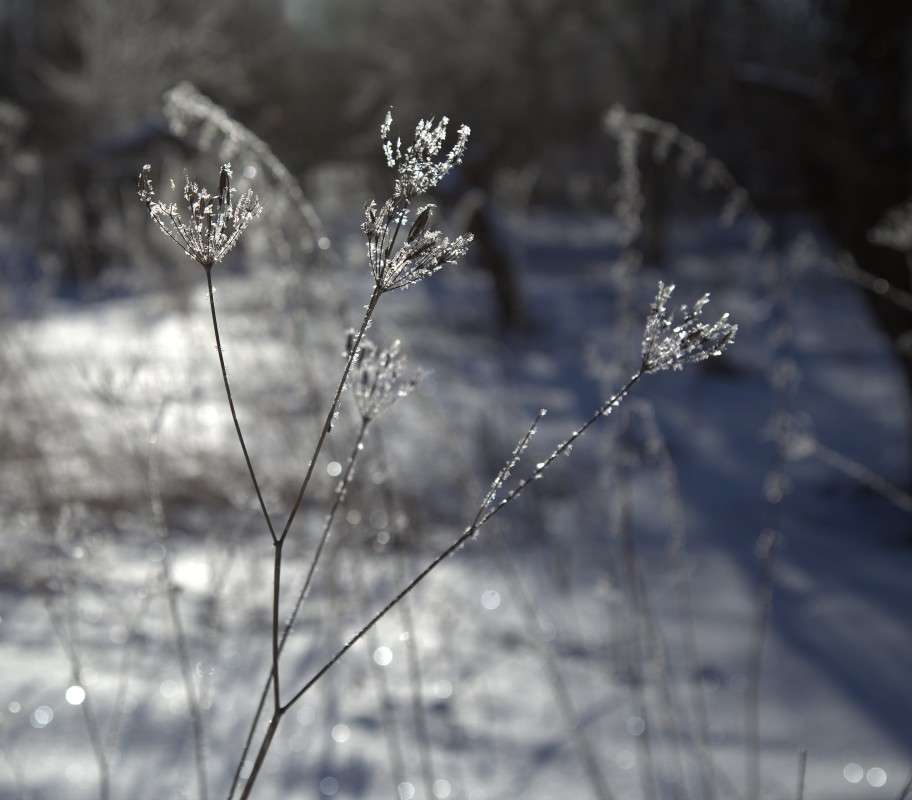 ���� ��� ������� 2 ����� ����� ������� �� PhotoGeek.ru #������ ��� ������� #��������� #������ #����� ��������