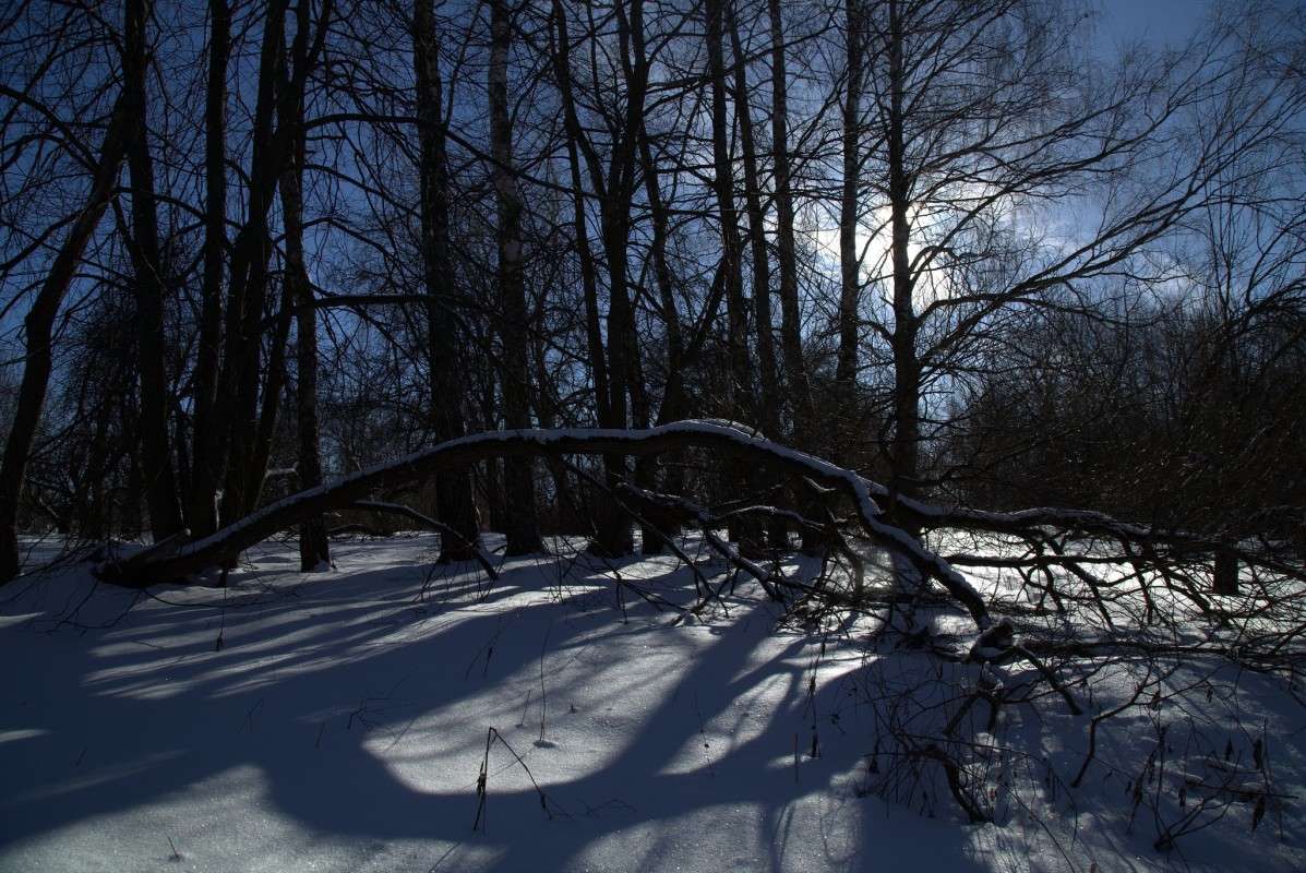 ������� ����� ����� ������� �� PhotoGeek.ru #������ ��� ������� #����� �������������� #���������