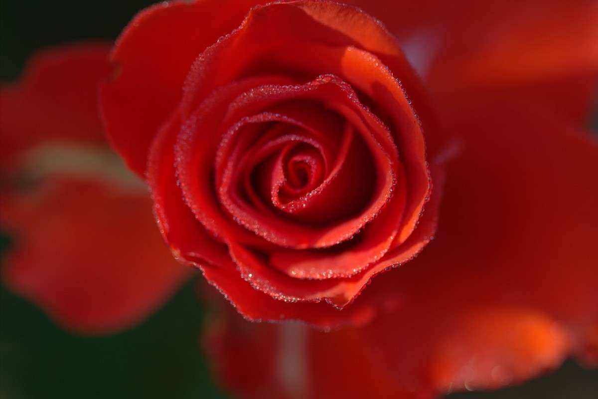 ... ����� ����� ������� �� PhotoGeek.ru #������ ��� ������� #����� �������������� #���������