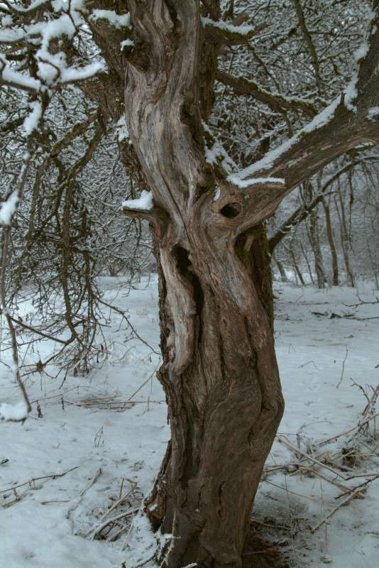 �������������� ������� ����� ����� ������� �� PhotoGeek.ru #������ ��� ������� #����� �������������� #��������� #������