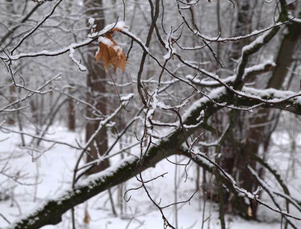 ����� � ������ ����� ����� ������� �� PhotoGeek.ru #������ ��� ������� #����� �������������� #���������