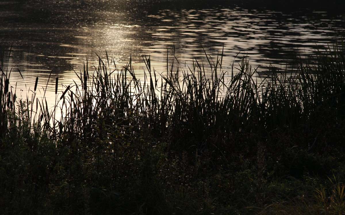 ���� � ����� ����� ����� ������� �� PhotoGeek.ru #������ ��� ������� #����� �������������� #���������