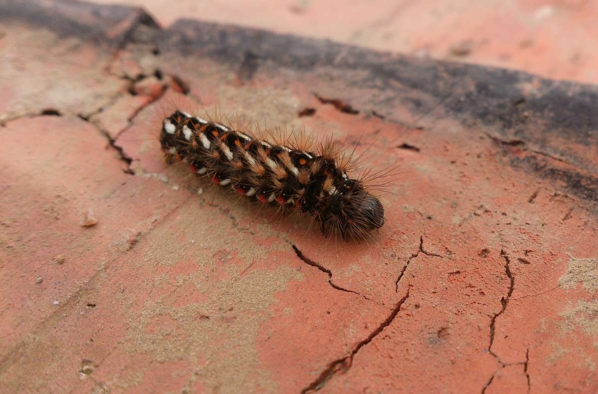 ��� �� ��� ���?! ����� ����� ������� �� PhotoGeek.ru #����� #���������