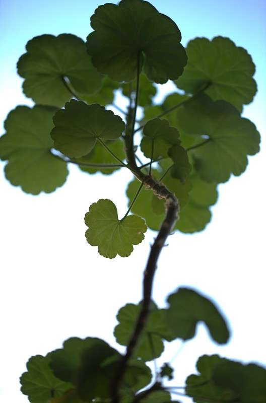 ����� �� ����������� 2 ����� ����� ������� �� PhotoGeek.ru #������ ��� ������� #����� �������������� #��������� #������ #����� ��������