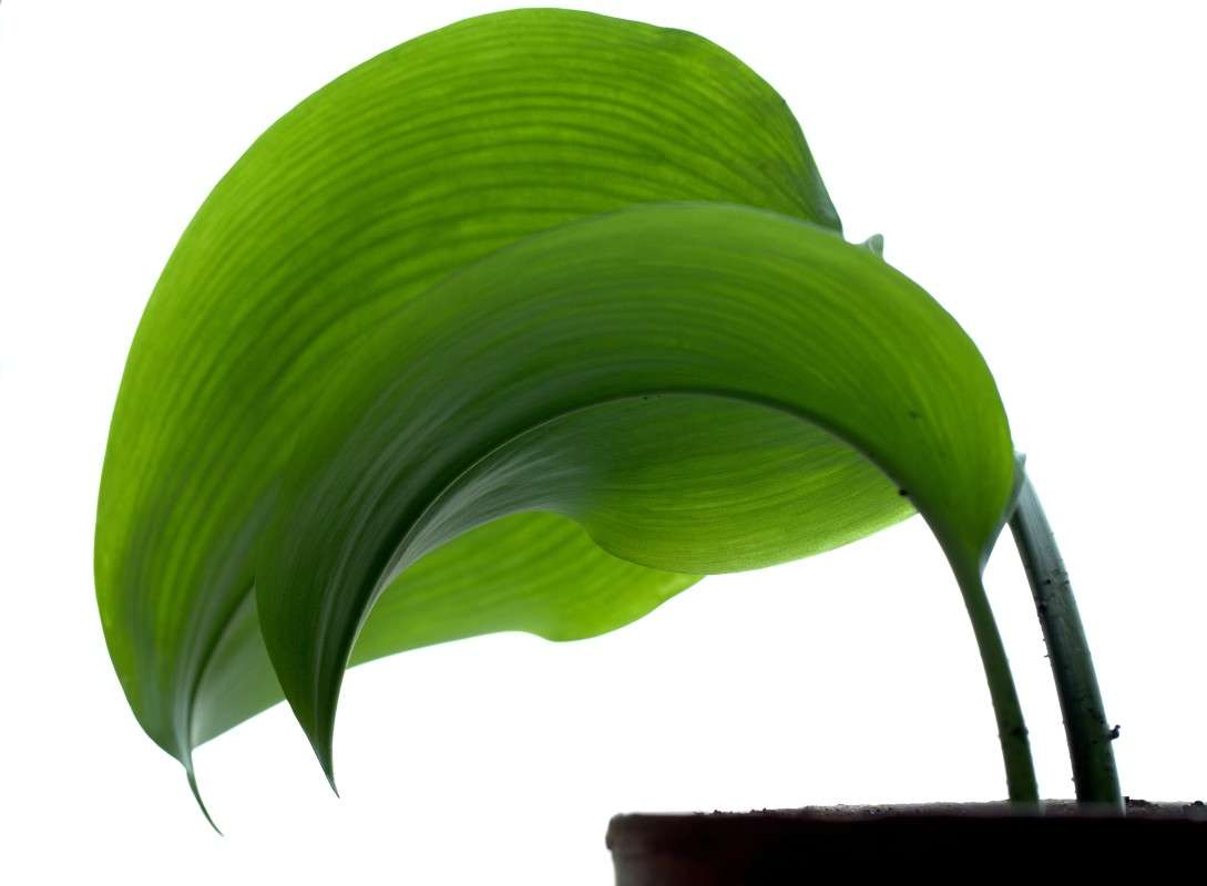 ����� �� ����������� 4 ����� ����� ������� �� PhotoGeek.ru #������ ��� ������� #��������� #������ #����� ��������