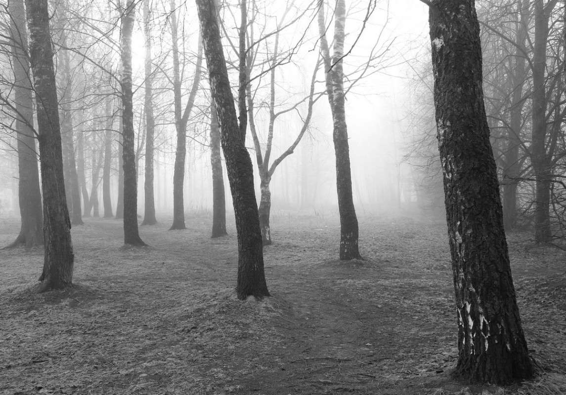 �����, �����... ����� ����� ������� �� PhotoGeek.ru #������ ��� ������� #����� �������������� #��������� #������ #�����-�����