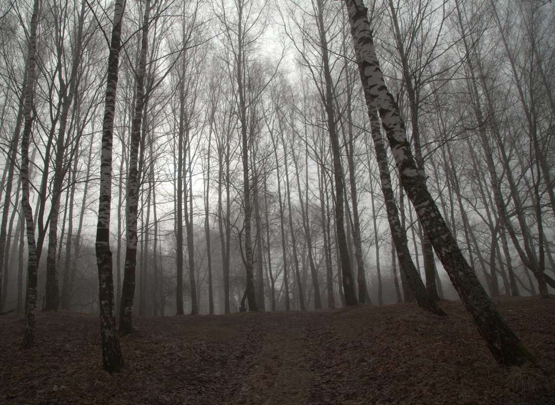 �����, �����... 5 ����� ����� ������� �� PhotoGeek.ru #������ ��� ������� #����� �������������� #��������� #����� ��������