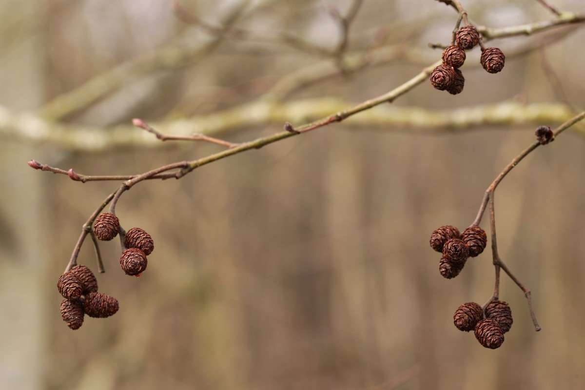 �������� ����� ����� ����� ������� �� PhotoGeek.ru #������ ��� ������� #����� �������������� #������