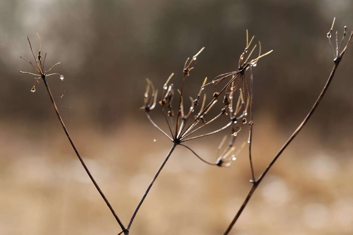 �������� ������� 2 ����� ����� ������� �� PhotoGeek.ru #������ ��� ������� #����� �������������� #��������� #������ #����� ��������