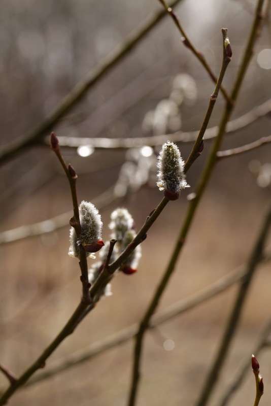 �������� ������� 3 ����� ����� ������� �� PhotoGeek.ru #������ ��� ������� #��������� #������