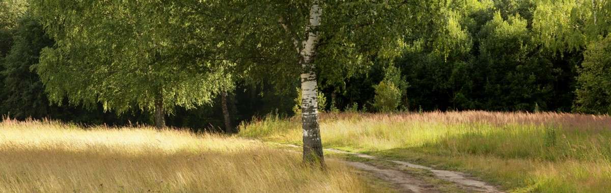 �������� ����� ����� ������� �� PhotoGeek.ru #������ ��� ������� #����� �������������� #��������� #����� ��������