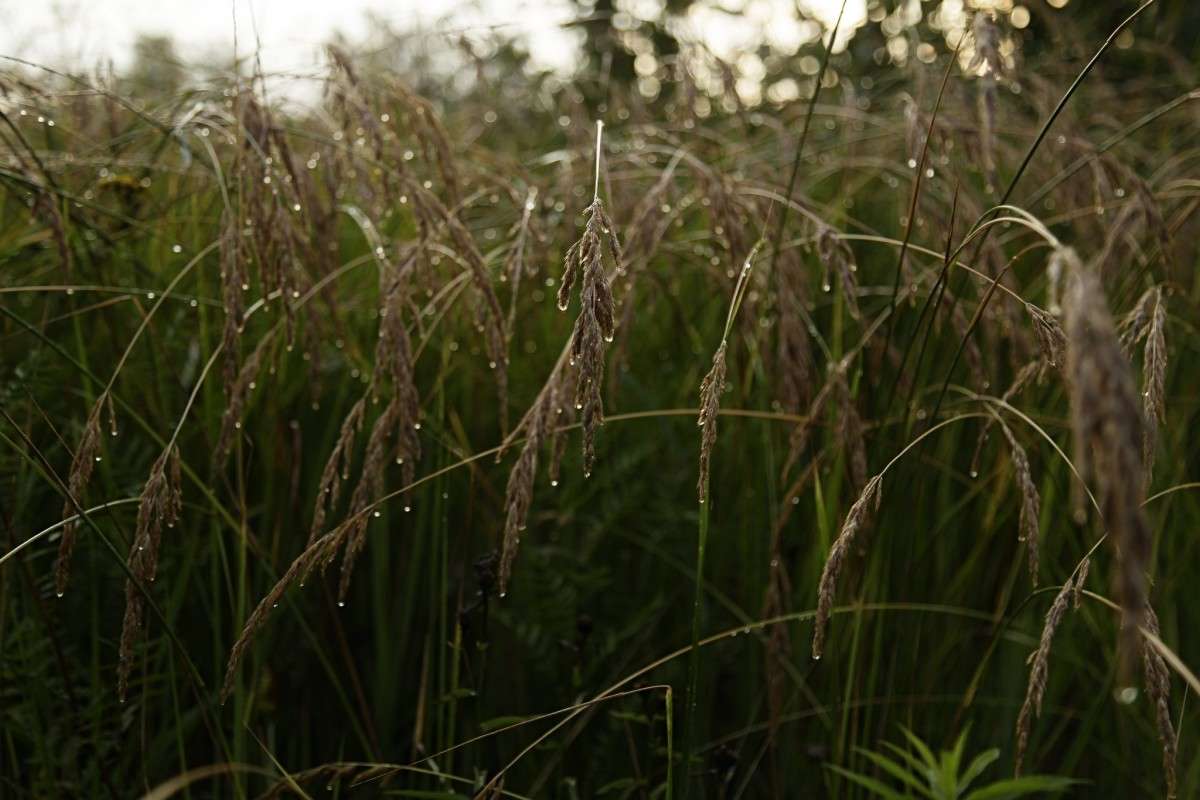 ����� ���� ����� ����� ������� �� PhotoGeek.ru #������ ��� ������� #����� �������������� #���������