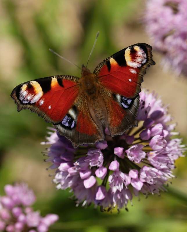 �������� ���� ����� ����� ������� �� PhotoGeek.ru #������ ��� ������� #����� �������������� #��������� #������