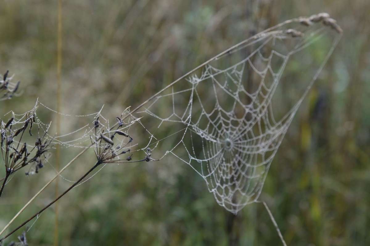 ������� ���� 4 ����� ����� ������� �� PhotoGeek.ru #������ ��� ������� #��������� #����� #�������� #������ #����