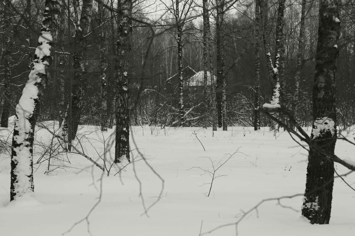Домик в зимнем лесу автор Борис Баринов на PhotoGeek.ru #Пейзаж или природа #Живая растительность #Зима #Перелесок #Разное #Снег #Черно-белое