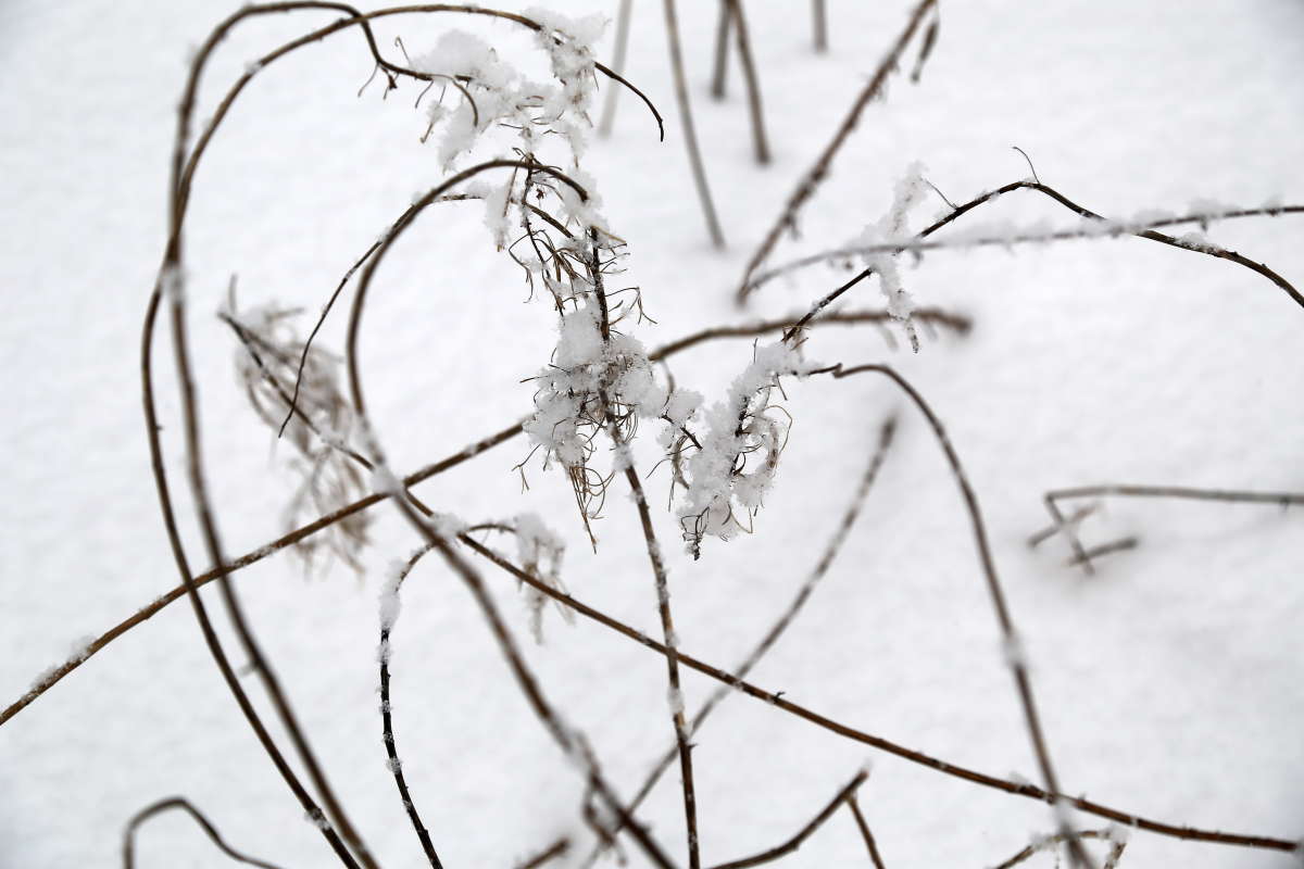 Зимнее каприччио автор Борис Баринов на PhotoGeek.ru #Пейзаж или природа #Зарисовки