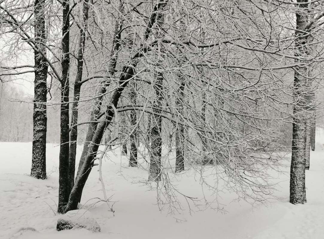       PhotoGeek.ru #   #  # # # #