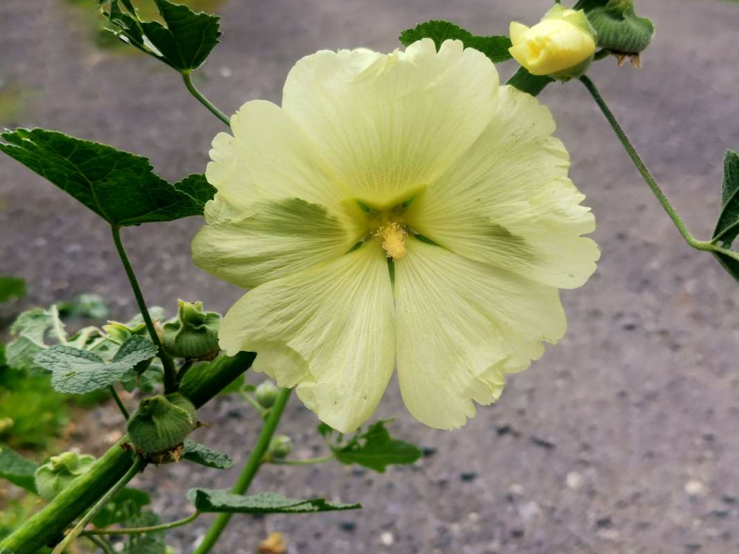 ������ �� ����� ���� ����� ����� ������� �� PhotoGeek.ru #������ ��� ������� #����� �������������� #��������� #������