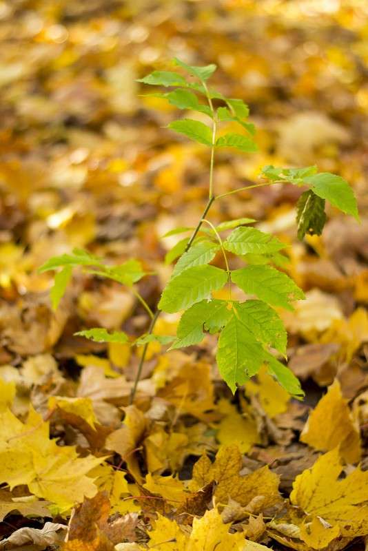 ����� ����� ����� ����� ������ ������� �� PhotoGeek.ru #������ ��� �������