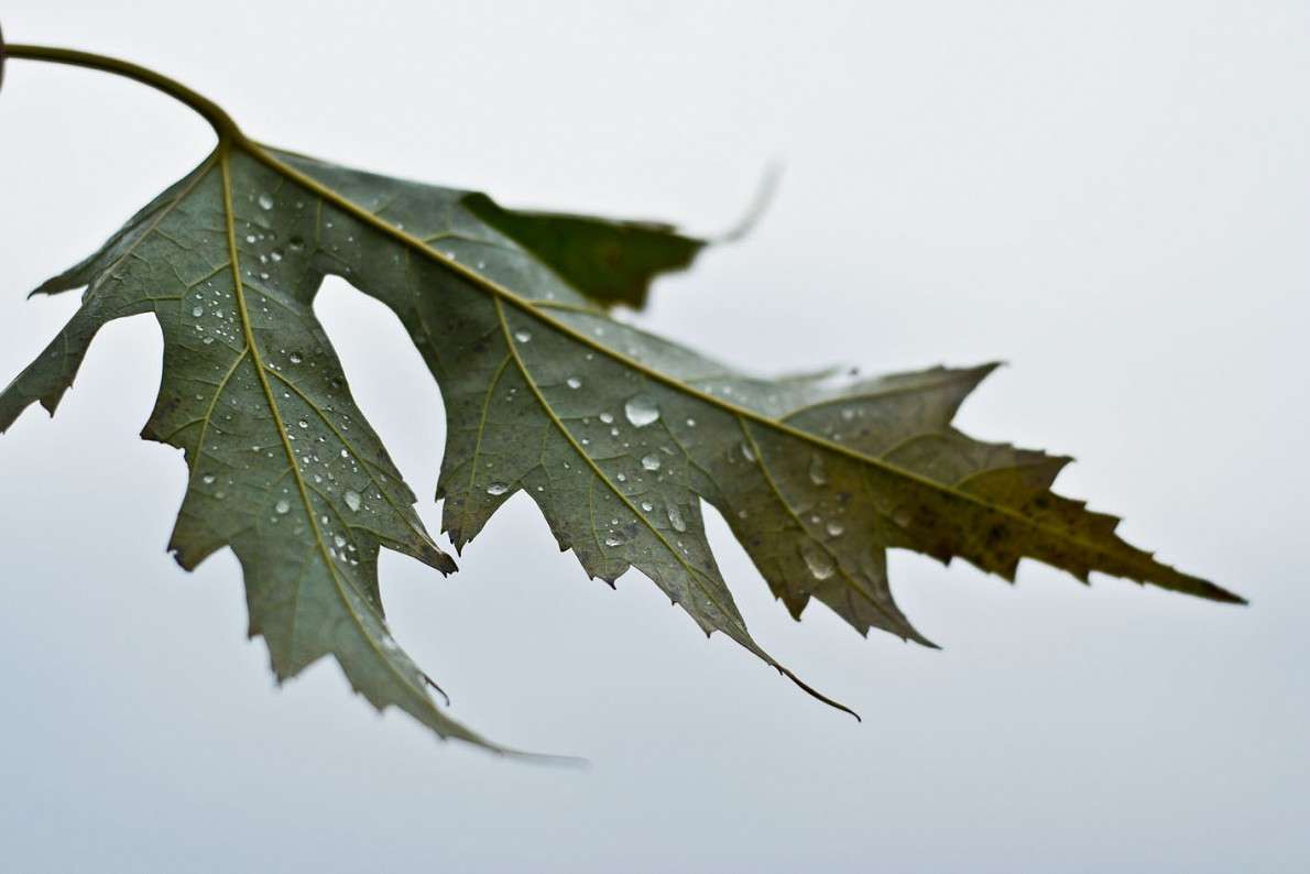 ϳ��� ���� ����� ������ ������� �� PhotoGeek.ru #������ ��� �������