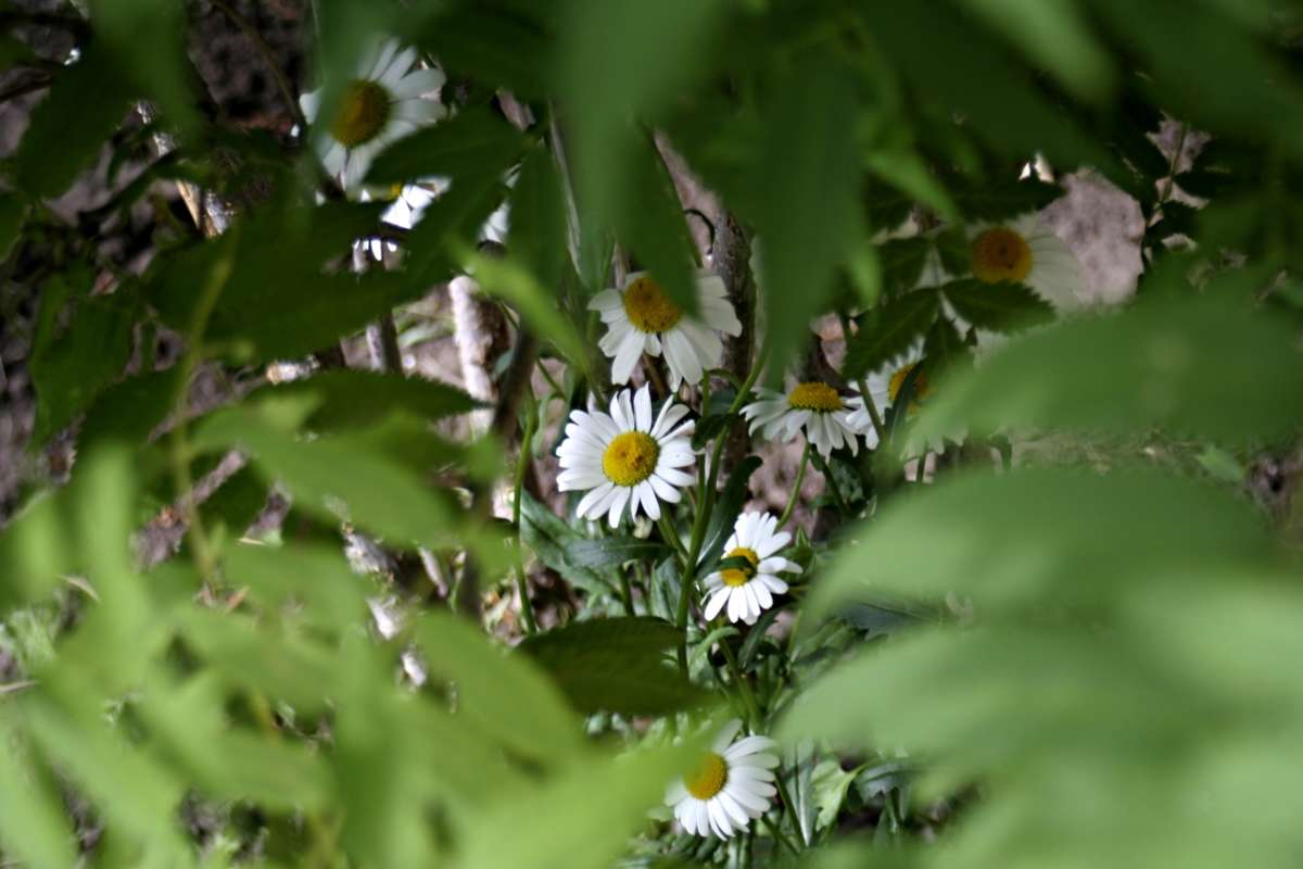 ������� ���������� ����� ������� ������� �� PhotoGeek.ru #������ ��� �������