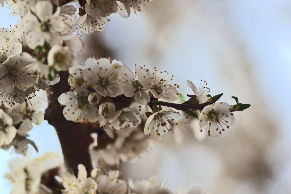 �������� ������� ����� ������� ������� �� PhotoGeek.ru #������ ��� �������