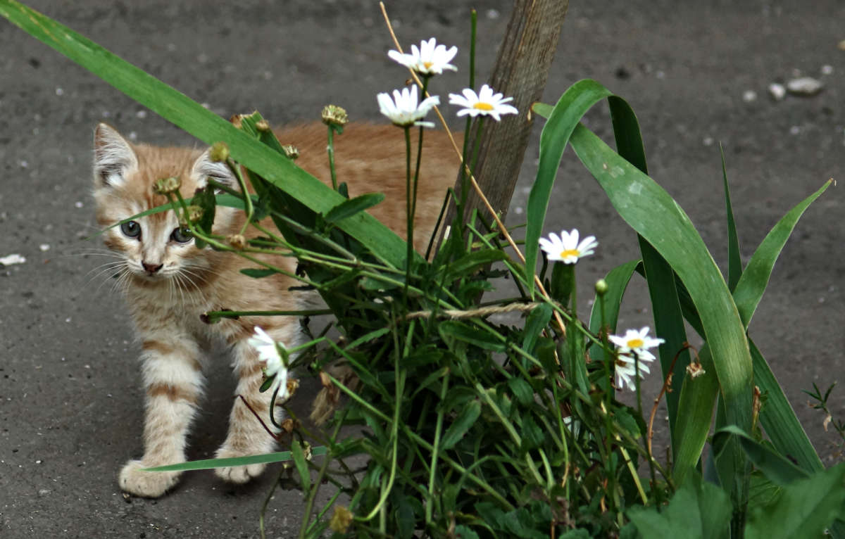 ����� ����� ������� ������� �� PhotoGeek.ru #�������� ���