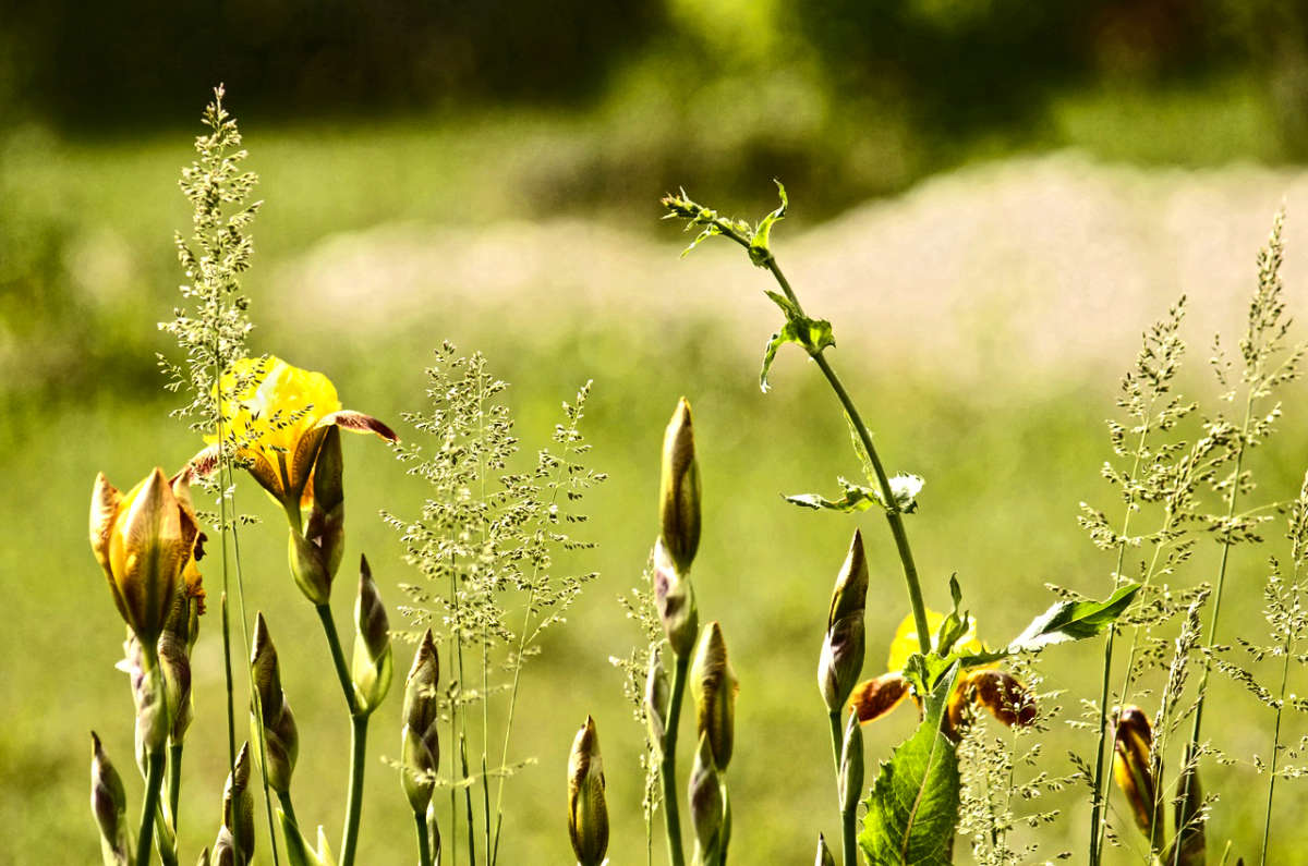 ����� ����� ������� ������� �� PhotoGeek.ru #������ ��� �������