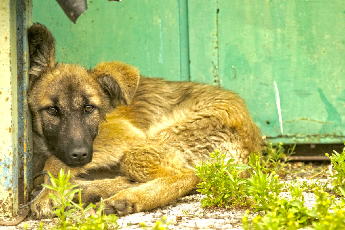 � ��� ����������� ������... ����� ������� ������� �� PhotoGeek.ru #�������� ���